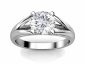 Spit shank ring SPR15 Platinum raised view 