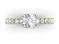 Engagement ring SAY22 birds eye view